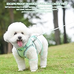 AIITLE No Pull Dog Vest Harness, All Weather