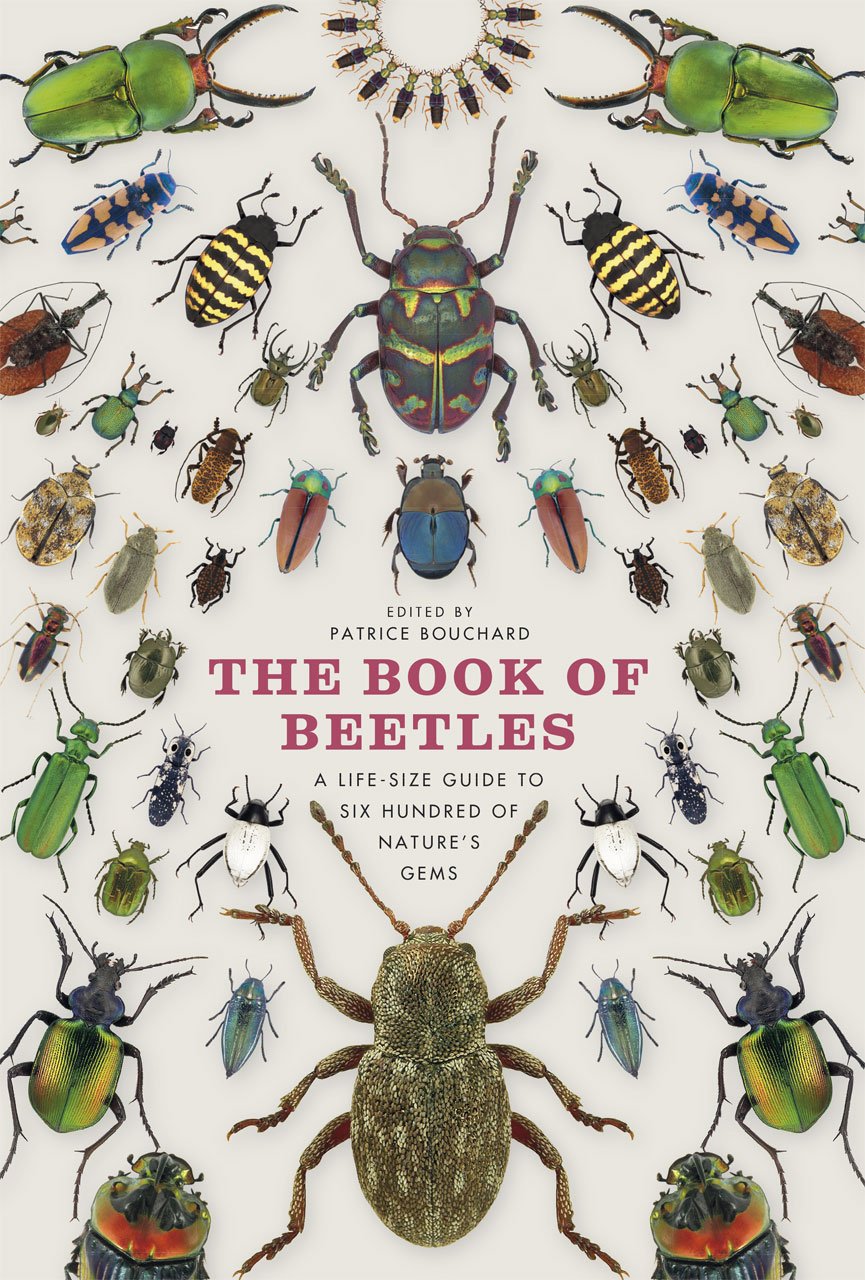 The Book Of Beetles A Life Size Guide To Six Hundred Of Nature S Gems Bouchard Patrice 9780226082752 Amazon Com Books