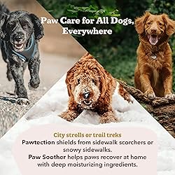 Natural Dog Company Paw Soother Balm for Dogs 0.15
