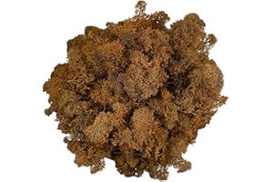 Gusaloo Moss Preserved Artificial Moss Natural Fresh Green Reindeer Moss for Craft Arts Floral Project Wall Decor Table Decor Wedding Centerpieces Garden Terrariums Decoration-Brown 3.5OZ