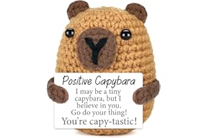 VIVAGIFTS Mini Capybara Christmas Stocking Stuffers for Teens Boys Kids Men Women Birthday Gifts White Elephant Gift for Coworker Friend Xmas Basket Gift for Grandkids Girl Emotional Positive Capybara Support