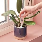 Miracle-Gro Drip & Feed Orchid Food 3 Pack view 7