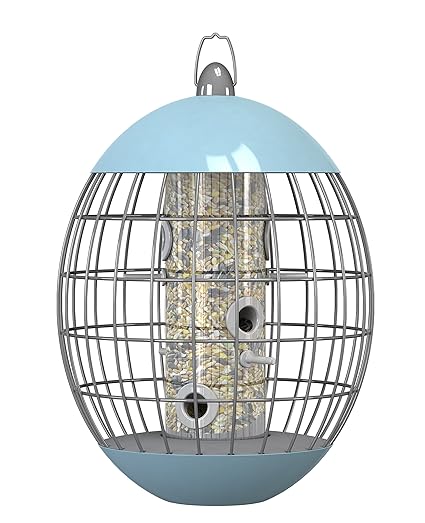 The Nuttery Nc017 Eclipse Seed Feeder Amazon Co Uk Kitchen Home