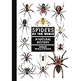 Spiders of the World: A Natural History (A Guide to Every Family)