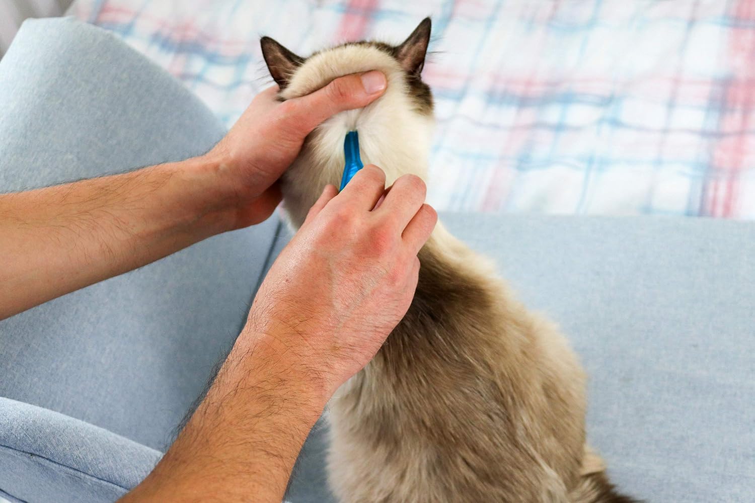 FRONTLINE Spot On Flea & Tick Treatment for Cats - 3 Pipettes, Clear - Image 4