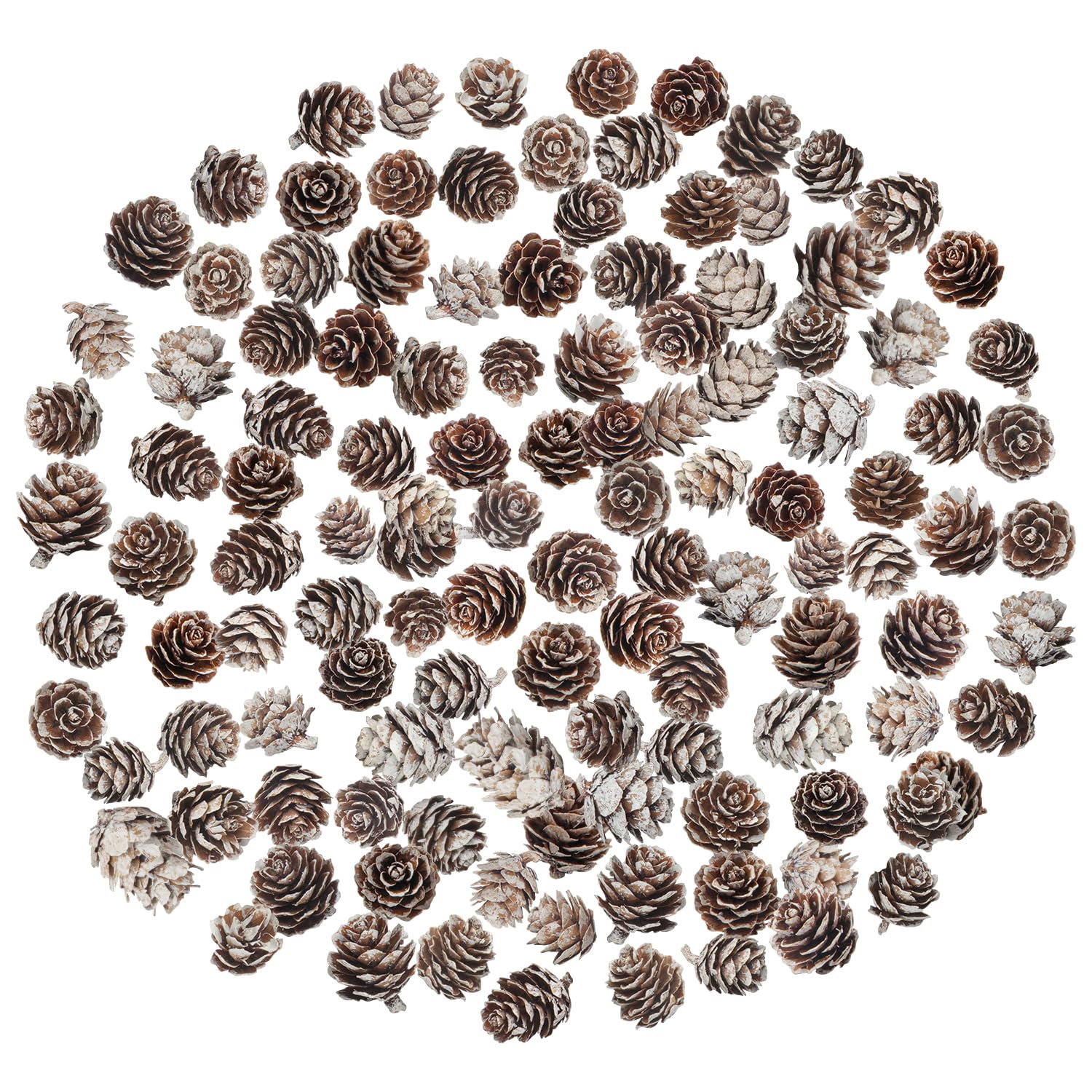 Photo 1 of 200 PCS Christmas Natural Pine Cones Mini Pine Cones Thanksgiving Pine Cones Bulk Christmas Pinecones Ornaments for Home Decoration DIY Crafts Wedding Christmas Tree Fall Winter Decor, White