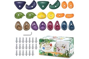 TOPNEW 20PCS Rock Climbing Holds with Mounting Hardware - Climbing Rocks for Indoor/Outdoor Kids Adults Rock Wall, Play Set & Climbing Gym, Dark Color
