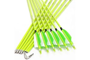annastar 30" Carbon Feather Arrows Practice Hunting Arrows Spine 300 340 400 500 600 700 800 for Recurve Bow & Compound Bow (12 pcs)