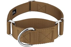 COUNTRY BROOK DESIGN Country Brook Petz 1 1/2 Inch Martingale Heavy Duty Nylon Adjustable Dog Collar for Small, Medium, Large Breeds - Vibrant 17 Color Selection (Coyote Tan, Large)