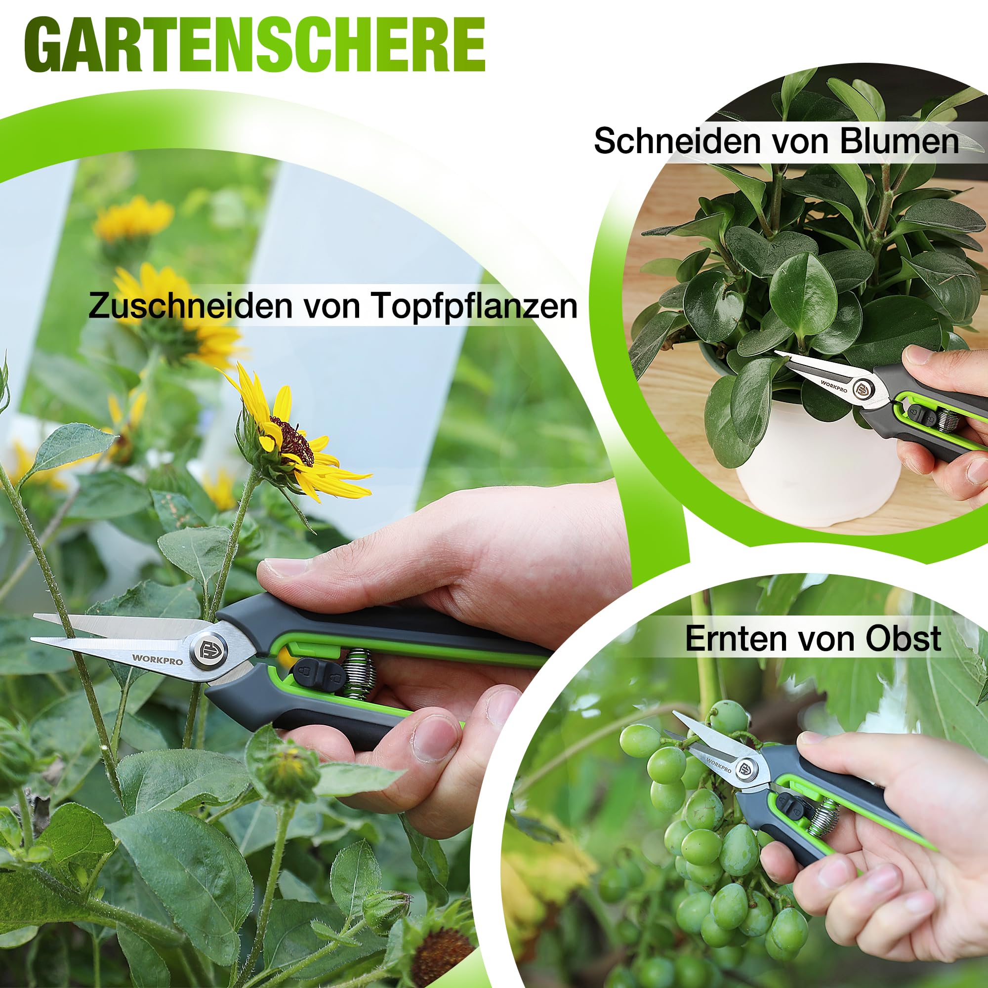 WORKPRO Gartenschere Set 2-tlg, 210mm SK5 Bypass Astschere für frische Zweige, 160mm Ernteschere Pflückschere für Blume und Frucht, Pflanzenschere Baumschere Rosenschere Blumenschere für Gartenarbeit 7