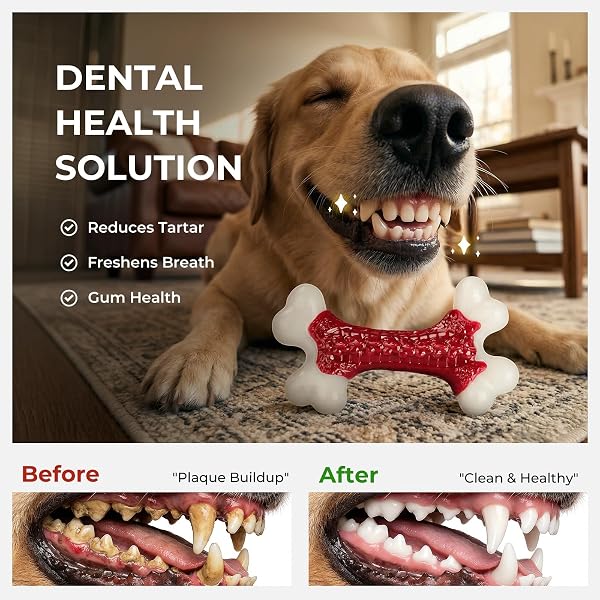 KSEROO 6-PACK INDESTRUCTIBLE DOG TOYS FOR AGGRESSIVE CHEWERS: BEEF FLAVORED HARD NYLON BONE CHEW TOYS, TOUGH DOG CHEW TOYS FOR LARGE DOGS, DOG TOYS TO KEEP THEM BUSY FOR MEDIUM LARGE BREED, RED