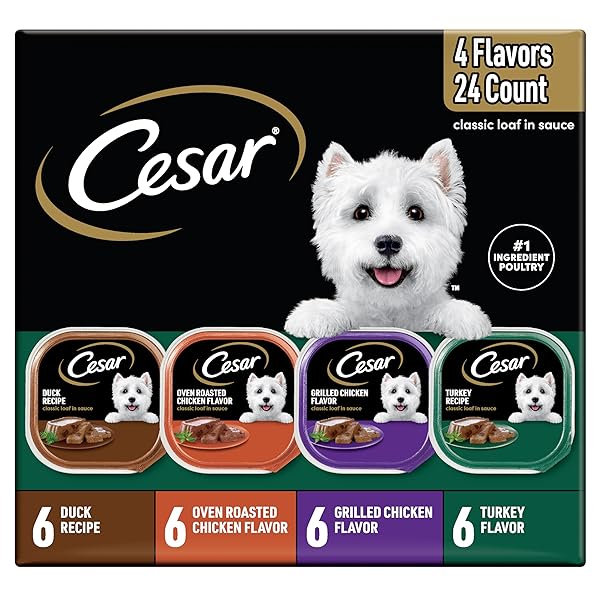 CESAR WET DOG FOOD CLASSIC LOAF IN SAUCE,...