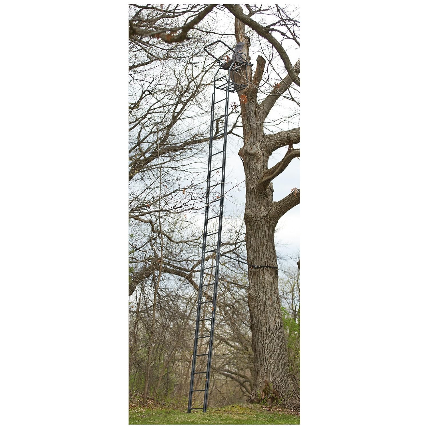 Ladder Stationary Treestands Continued Page 2