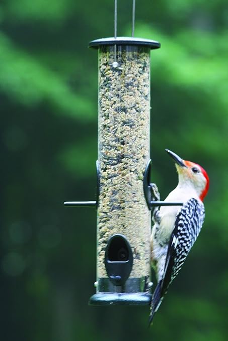 Amazon Com Birds Choice 3 Cup 4 Port Tube Feeder Wild Bird