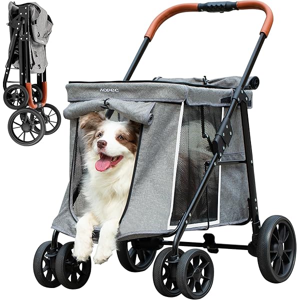 Amazon.com: HPZ Pet Rover Run Performance Jogging Sports