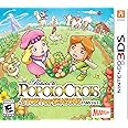 Return to PopoloCrois: A STORY OF SEASONS Fairytale - Nintendo 3DS