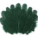 Soarer 300pcs Blackish Green Rooster Feathers Bulk