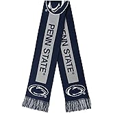 FOCO NCAA Big Logo Scarf