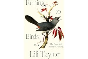 Turning to Birds: The Power and Beauty of Noticing