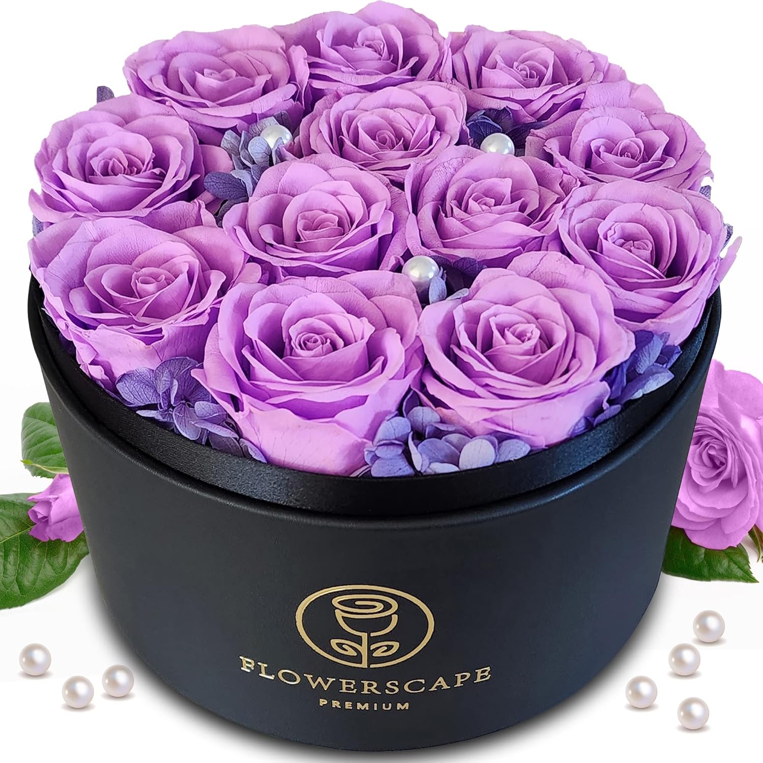 Dried & Preserved Flora - Preserved Rose Forever Flower for Her Unique Birthday Gift for Women Grandma Mom Girlfriend - 12 Pcs Eternal Rose Box for Valentines Day Mothers Day - Real Flowers for Delivery Prime