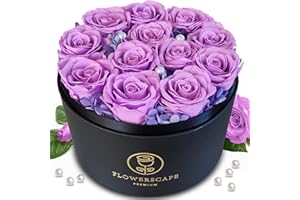 FLOWERSCAPE PREMIUM Forever Flowers Roses in a box - 12 Real Rose Bouquet - Valentines Mothers Day Anniversary Birthday Gifts for Women Mom Wife Girlfriend and Her - Purple
