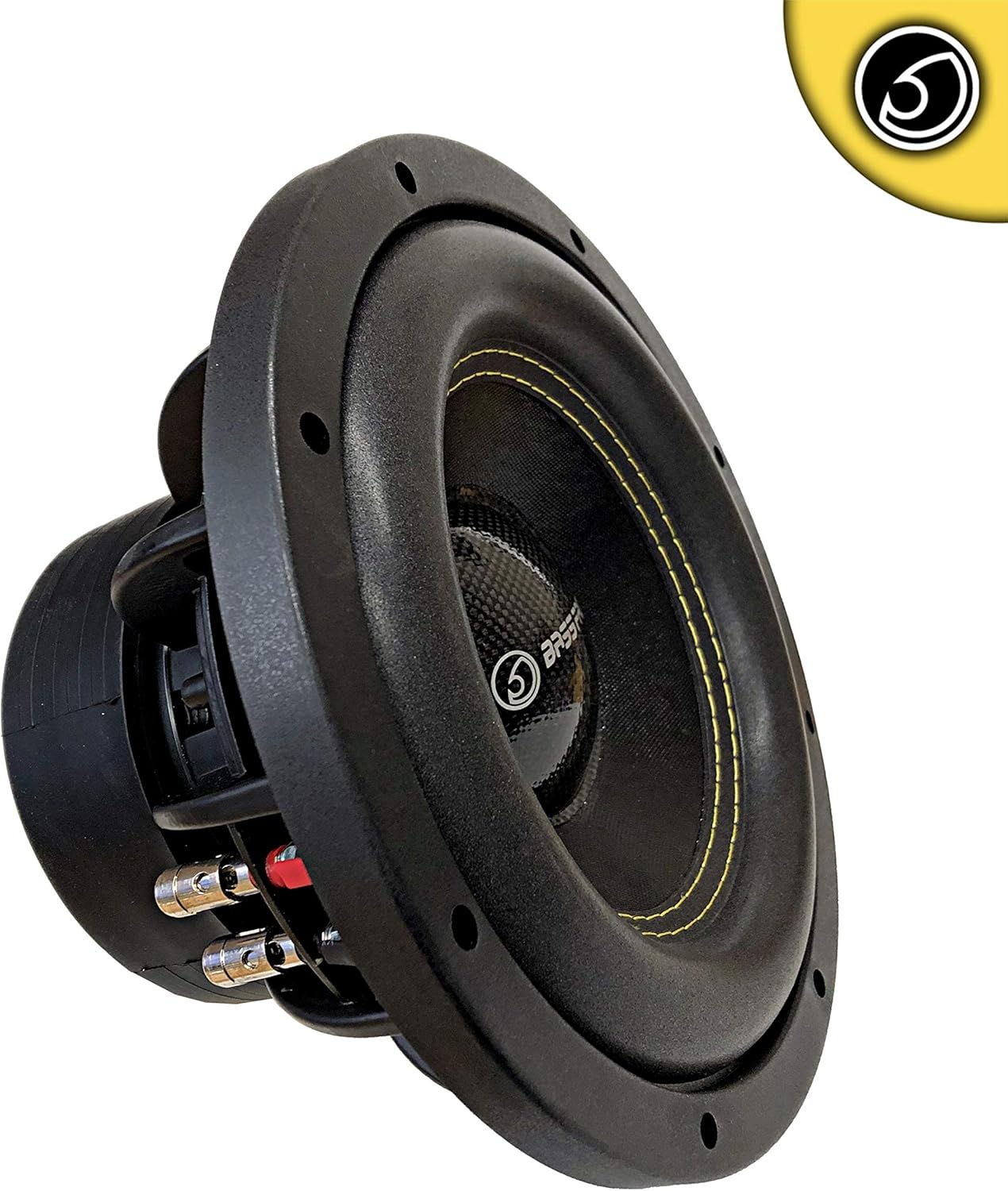 speaker spl 10 inch