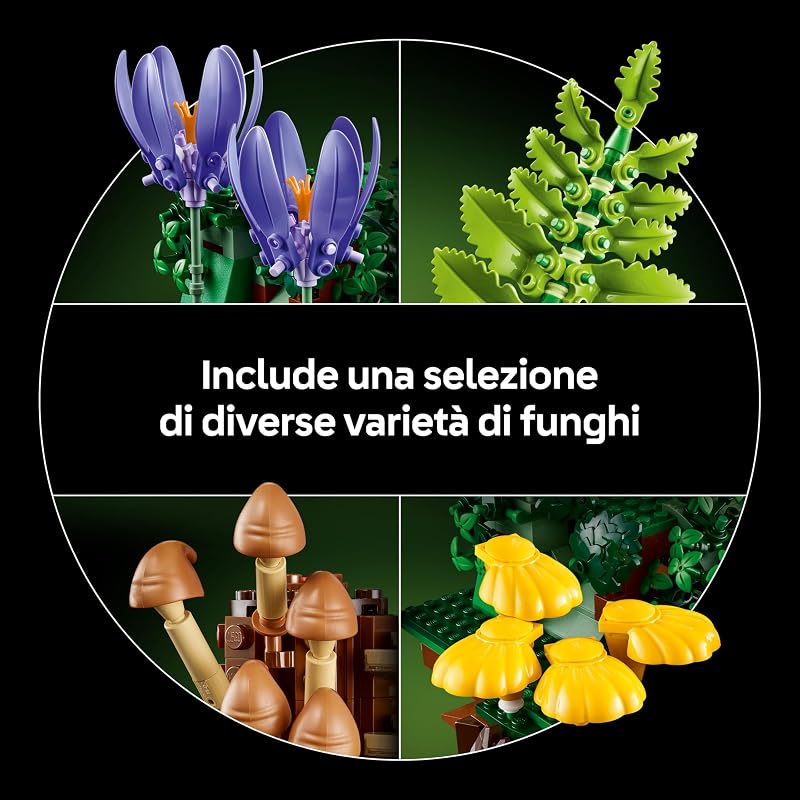 Botanicals Funghi del bosco 11505