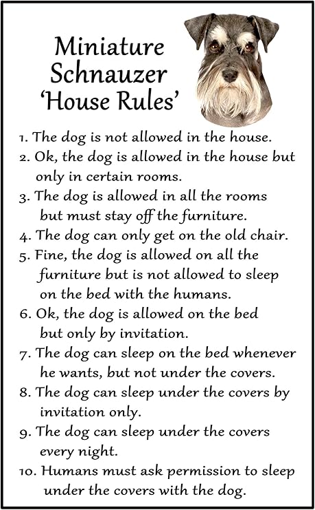 miniature schnauzer gifts