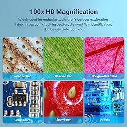 100X Phone Microscope with CPL Lens and LED/UV