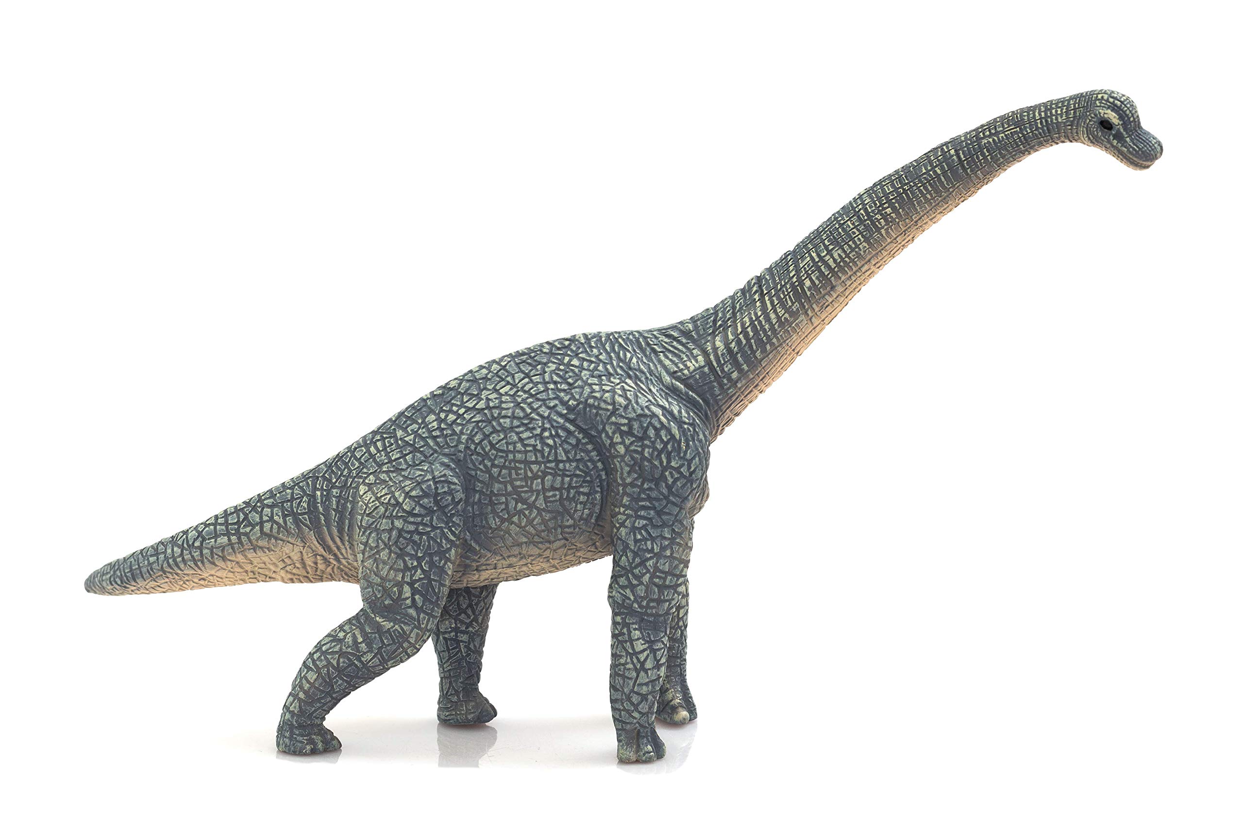 Brachiosaurus Dinosaur Prehistoric Model Toy Figure