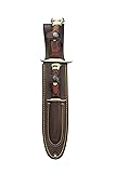 MUELA BW-22P Coral Pakkawood Handle Hunting Knife