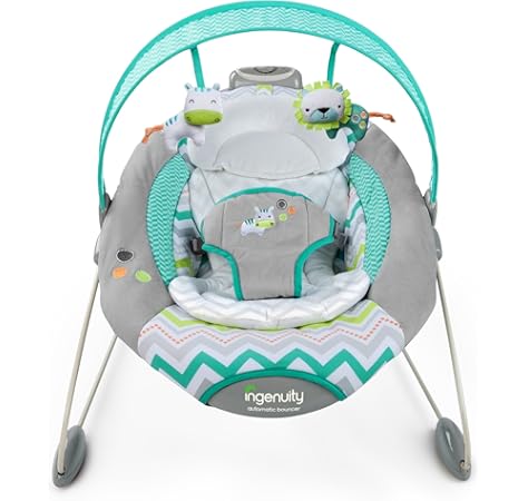 ingenuity baby bouncer battery type