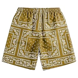 DIOTSR Mens Paisley Casual Shorts Retro Graphic