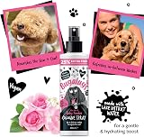 BUGALUGS Baby Powder Dog Cologne Spray with Aloe Vera - Odour Eliminator view 6