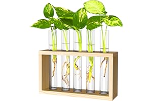IVOLADOR I Ivolador Plant Propagation Station Terrariumin Wall Test Tube Vases Bud Tabletop Glass Wooden Stand with 5 Propagation Tubes for Propagating Hydroponic Plants Home Garden Wedding Decoration-Beige