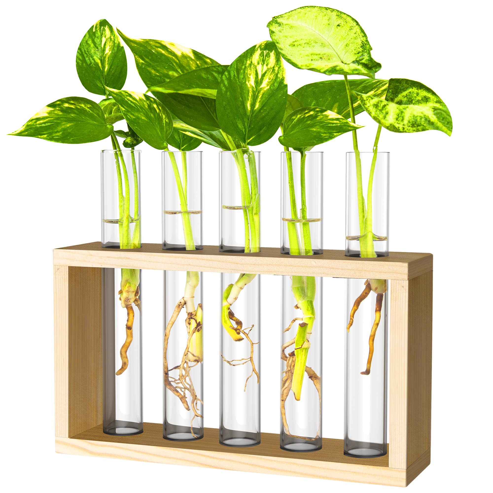 Ivolador Glass Vase Wall Mounted Hanging Test Tube Flower Bud Vase Tabletop Wooden Stand Perfect for Propagating Hydroponic Plants Home Garden Wedding Decoration