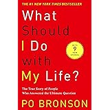 What Should I Do with My Life?: The True Story of People Who Answered the Ultimate Question