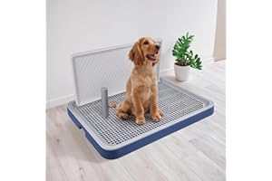 PAWISE Dog Training Pee Pad Holder Tray, Indoor Puppy Potty Pee Pad Floor Tray Dog Toilet, 24.8''X19.3', Large