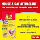 The Big Cheese Mouse and Rat Attractant 26g Poison-Free Squeezy Tube view 2