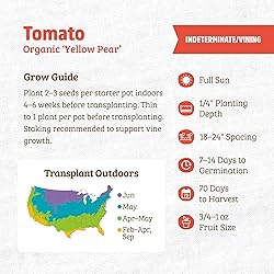 Back to the Roots 100% Organic Seed Packet - Tomato