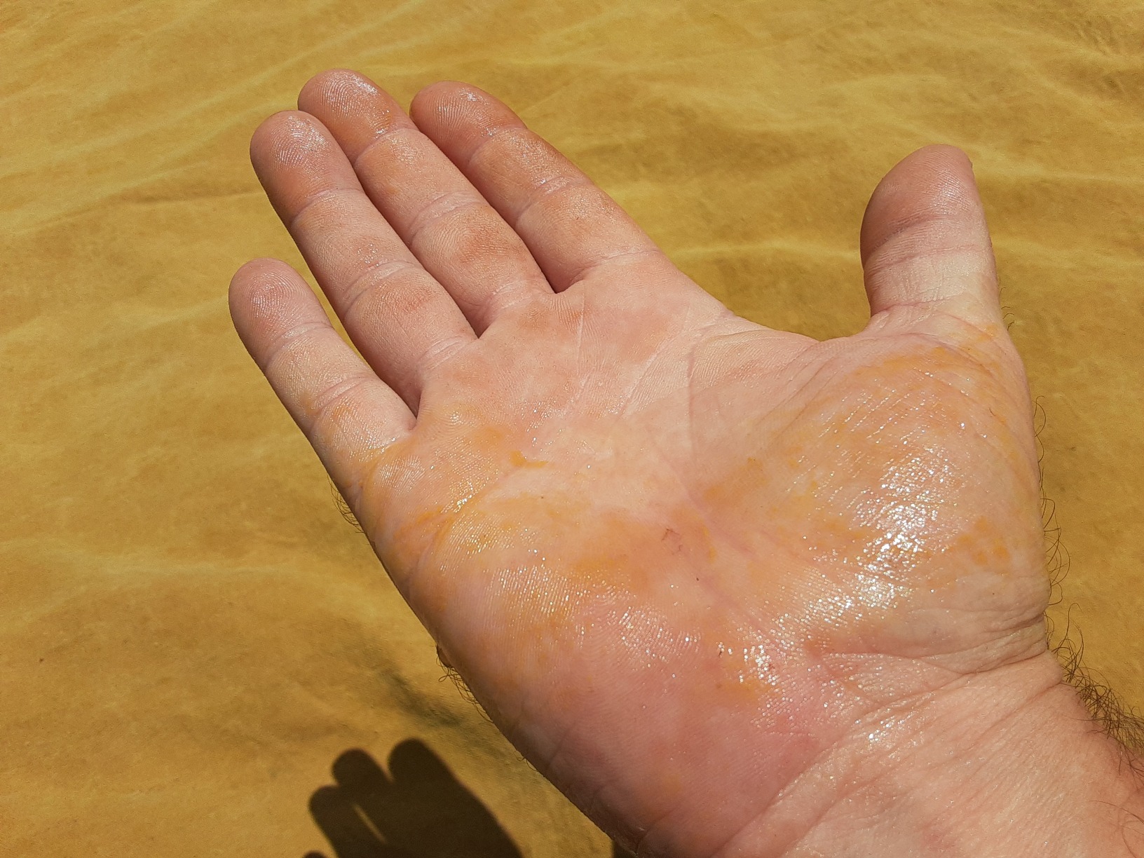 14/mo Finance Tarps Now Industrial Grade Canvas Tarp with Brass