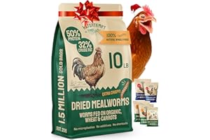 Hatortempt Bulk Dried Mealworms - 10 Lb Bag - Non-GMO Dried Mealworms for Chickens, Ducks & Wild Birds - High-Protein Chicken Feed & Bird Food