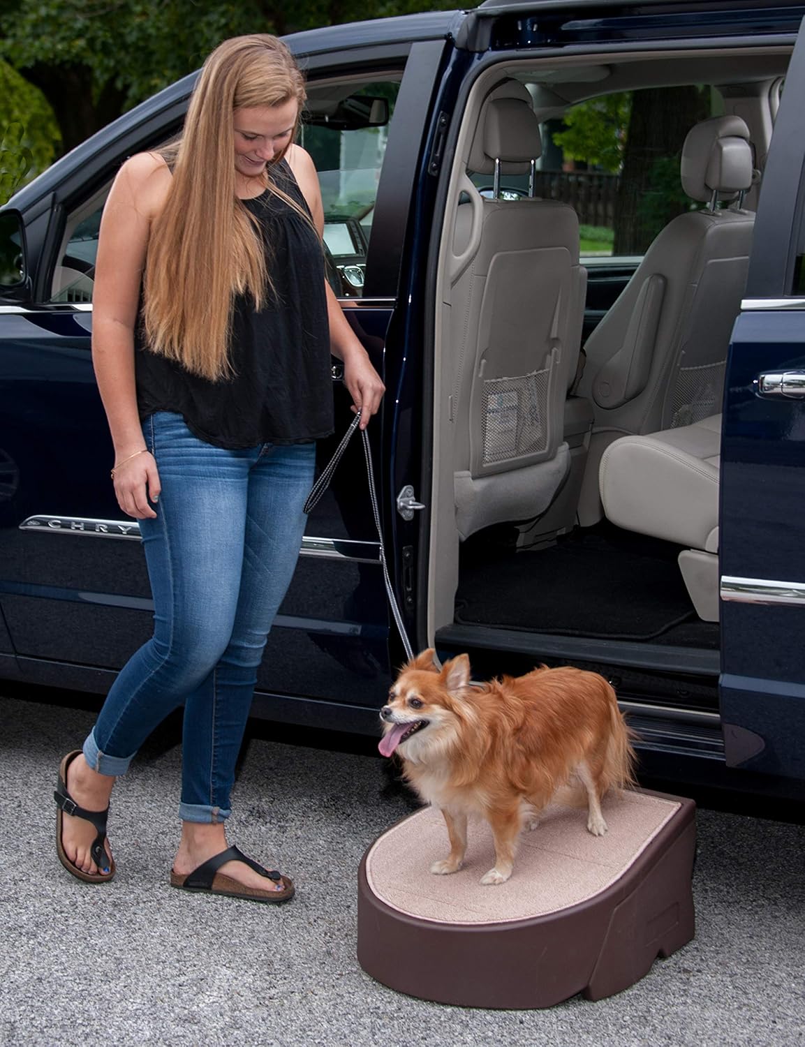 Pet Gear Stramp Stair and Ramp Combination, Dog/Cat Easy Step, Lightweight/Portable, Sturdy, Extra Wide, Gentler Sloped : Pet Supplies