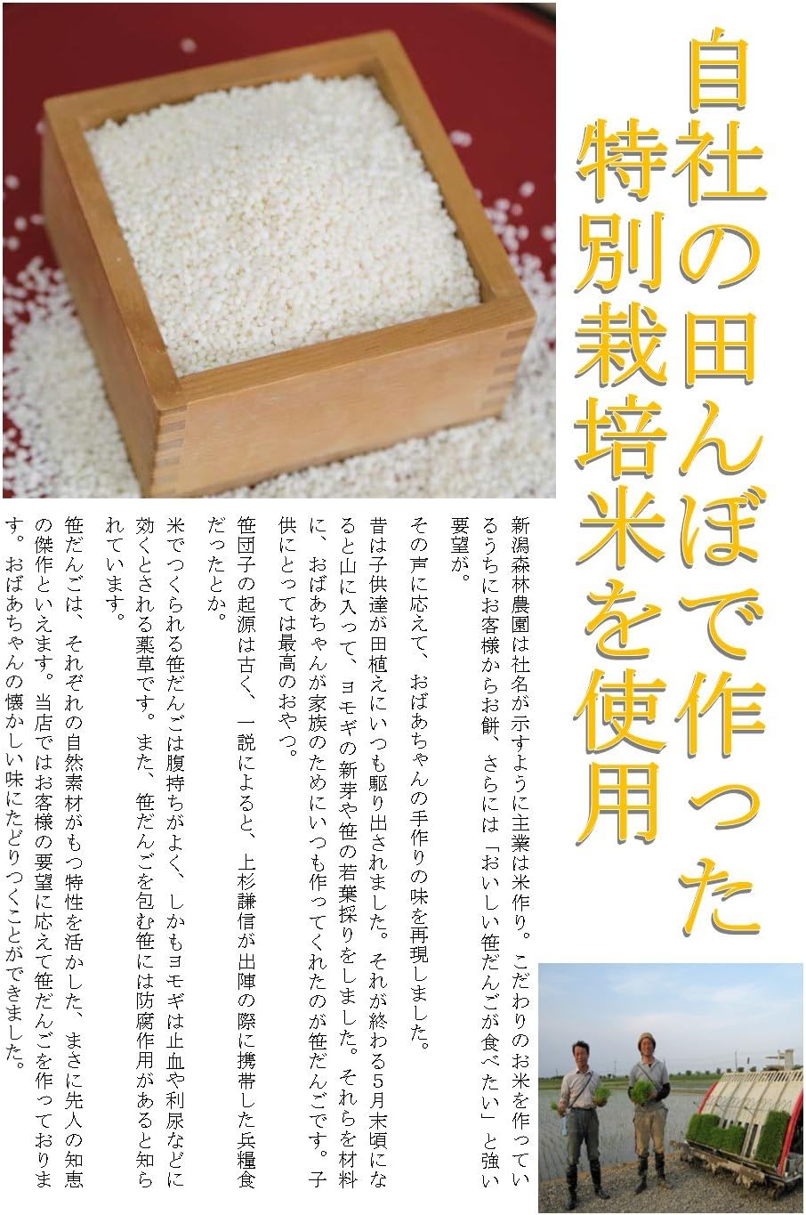 有新潟森林農園 こだわりの笹団子つぶあん