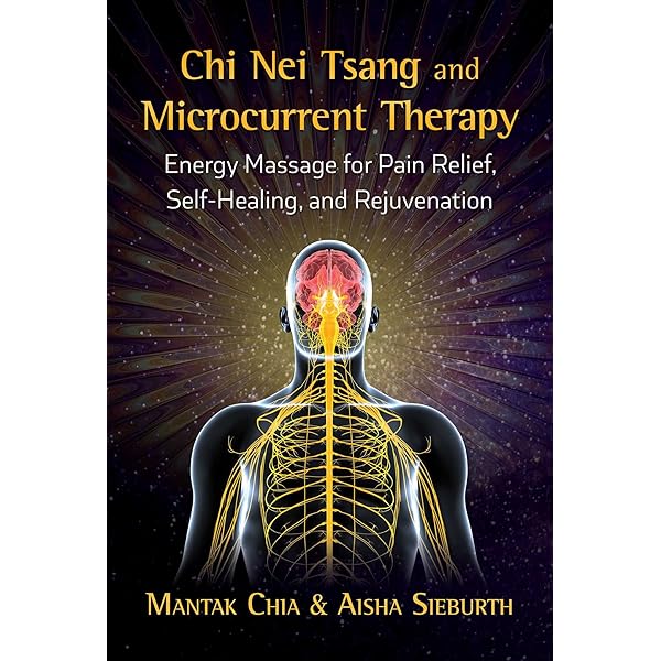 Chi Nei Tsang: Internal Organ Chi Massage: Mantak Chia, Maneewan