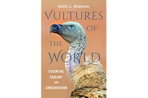 Vultures of the World: Essential Ecology and Conservation