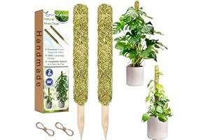 HUIPOLII Moss Pole,Moss Pole for Plants Monstera,2 Pack Extending to 27inch Natural Forest Moss Poles for Climbing Plants,Plant Poles for Potted Plants Indoor,Moss Stick Used Separately or Joined Together.…