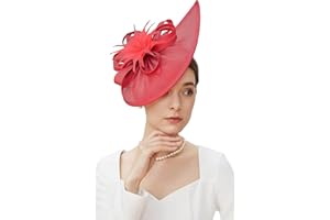 BABEYOND Tea Party Fascinator Hat for Women Kentucky Headwear Derby Pillbox Church Hat for Cocktail Wedding