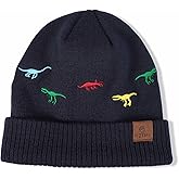 BAOPLAYKIDS Toddler Knitted Beanie Boys Cute Embroidery Hat Baby Kids Cuffed Skull Caps for Winter Autumn