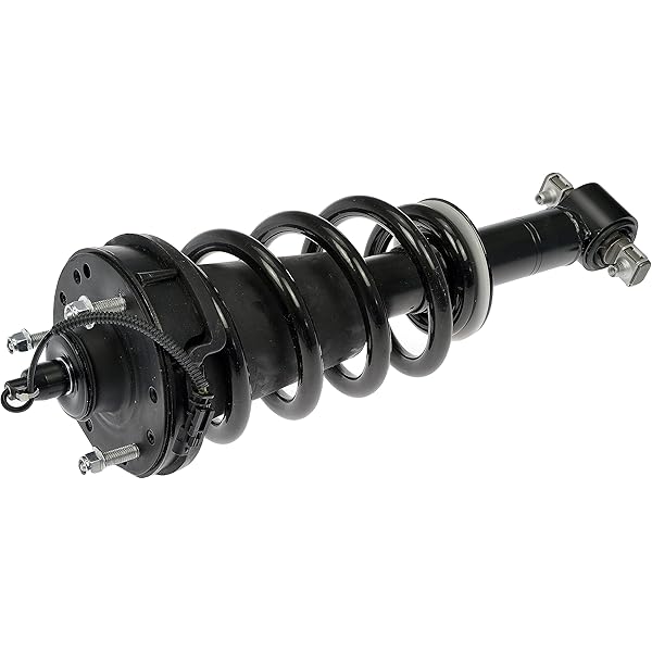 Amazon.com: ACDelco GM Original Equipment 84178213 Rear Shock 